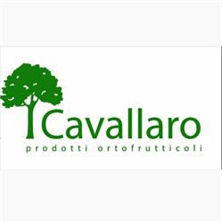 Cavallaro Prodotti Ortofrutticoli-F.lli Cavallaro Soc. Agr. S.r.l., Angri orari di apertura