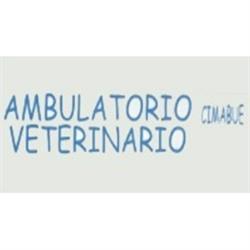 Ambulatorio Veterinario Cimabue, Firenze orari di apertura
