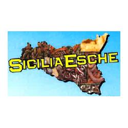 Sicilia Esche, Misterbianco orari di apertura