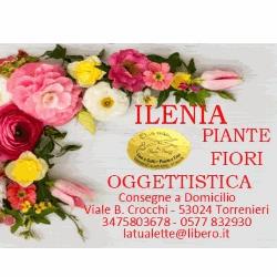 La Tualette Piante e Fiori, Montalcino orari di apertura