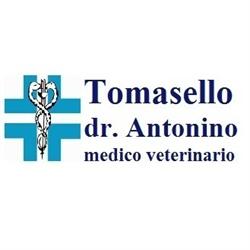 Ambulatorio Veterinario Tomasello Dr. Antonino, Belpasso orari di apertura
