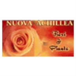 Nuova Achillea Fiori e Piante, Lucignano orari di apertura