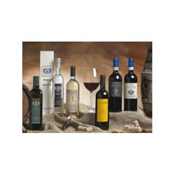 Lambardi Canalicchio di Sotto, Montalcino orari di apertura