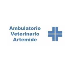 Ambulatorio Veterinario Artemide, Zingone orari di apertura