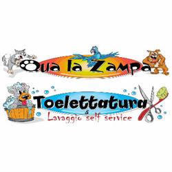 Qua La Zampa, Casalmaggiore orari di apertura