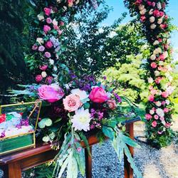 Il Fioraio di Via San Mauro, Vercurago orari di apertura
