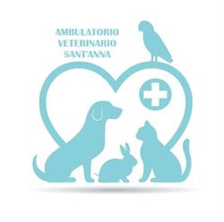 Ambulatorio Veterinario Sant'Anna, Biancavilla orari di apertura