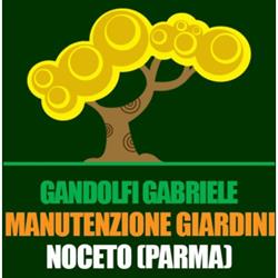 Gandolfi Gabriele Manutenzione Giardini, Medesano orari di apertura