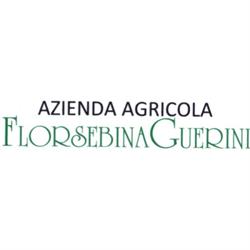 Azienda Agricola Florsebina Guerini, Sale Marasino orari di apertura