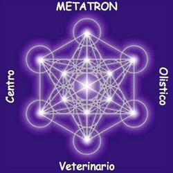 Metatron Centro Veterinario Olistico, Bologna orari di apertura