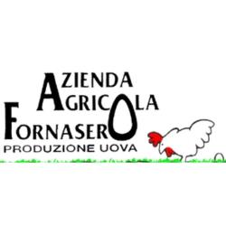 Azienda Agricola Fornasero, Lequio Tanaro orari di apertura