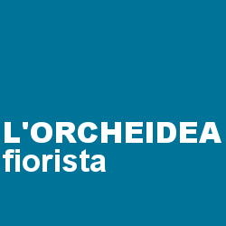 Fiorista L'Orcheidea di Brunella Raffaella, Gavirate orari di apertura
