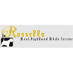 Allevamento La Rossella, Grugliasco orari di apertura