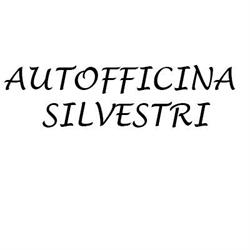 Autofficina Silvestri, Novi di Modena orari di apertura