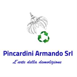 Autodemolizioni - Pincardini Armando, Sansepolcro orari di apertura