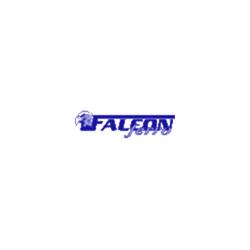 Falconferro Fabbro Pronto Intervento Serrande e Porte, Arzano orari di apertura