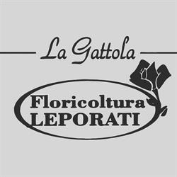 La Gattola di Leporati, Casale Monferrato orari di apertura