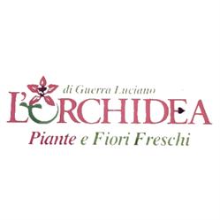 L'Orchidea, San Clemente orari di apertura