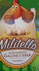Militello Allevamento Galline a Terra - Vendita Uova, Palermo orari di apertura