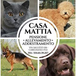 Allevamento Casa Mattia, Carignano orari di apertura