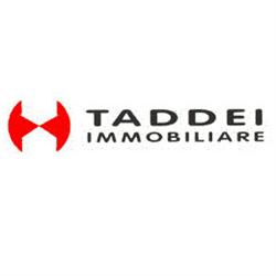 Agenzia Immobiliare Taddei, Scandicci orari di apertura