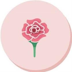 Estetica Camelia, Mozzo orari di apertura