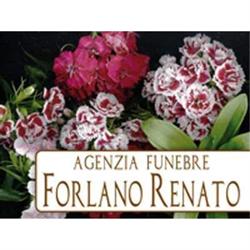 Onoranze Funebri Forlano, Castelcivita orari di apertura