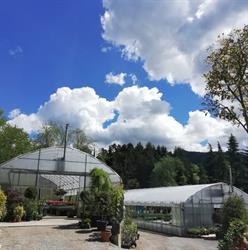Azienda Agricola Marchesi, Zavattarello orari di apertura