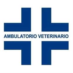 Dupuis Dr.ssa Annalisa Veterinario, Sottomarina orari di apertura