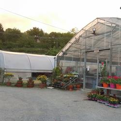 Vivaio Magnani, Arcidosso orari di apertura