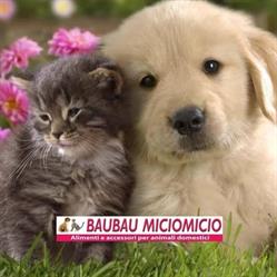 Baubau Miciomicio - Alimenti ed Accessori per Animali, Avellino orari di apertura
