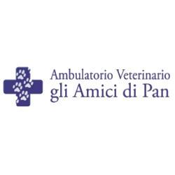 Veterinario Gli Amici di Pan, Velletri orari di apertura