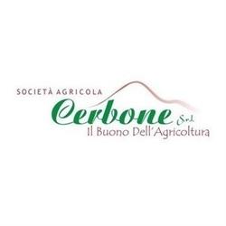 Societa' Agricola Cerbone, Casalnuovo di Napoli orari di apertura