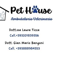 Ambulatorio Veterinario Pet House, Tortolì orari di apertura