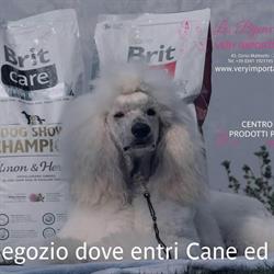 Les Bijoux Du Chateau, Lecco orari di apertura