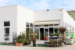 F.lli Marcantognini, Pesaro orari di apertura