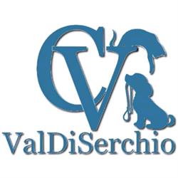 Clinica Veterinaria Valdiserchio, Gallicano orari di apertura