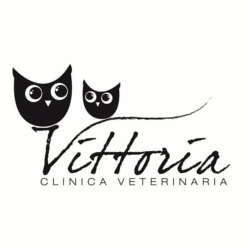 Clinica Veterinaria Vittoria, Castelcovati orari di apertura