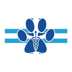 Clinica Veterinaria Magna Graecia, Crotone orari di apertura