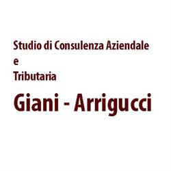 Giani e Arrigucci - Studio di Consulenza Fiscale e Tributaria, Arezzo orari di apertura