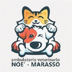 Ambulatorio Veterinario Associato Noe' Marasso, Castagnito orari di apertura