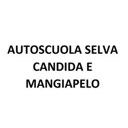 Autoscuola Selva Candida e Mangiapelo, Roma orari di apertura