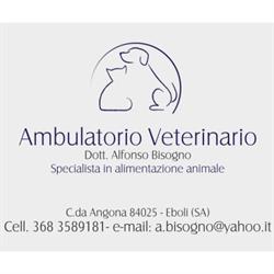 Ambulatorio Veterinario Dott. Alfonso Bisogno, Eboli orari di apertura