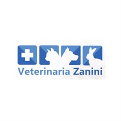 Ambulatorio Veterinario Zanini, Bertiolo orari di apertura