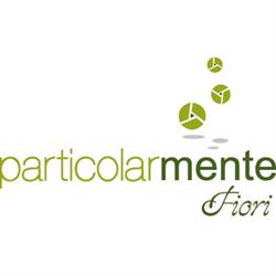 Particolarmente Flowers&Events, Martellago orari di apertura