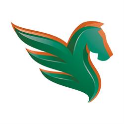 Pegaso Servizi Sas, Brandizzo orari di apertura