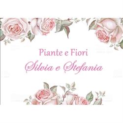 Piante e Fiori Stefania e Silvia, Lamporecchio orari di apertura