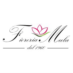Fioreria Mula, Aragona orari di apertura