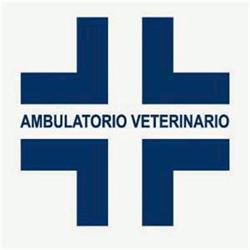 Giobbi Dr. Bruno, Monteprandone orari di apertura