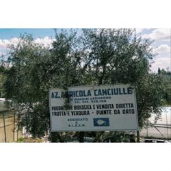 Azienda Agricola Canciulle, San Casciano in Val di Pesa orari di apertura